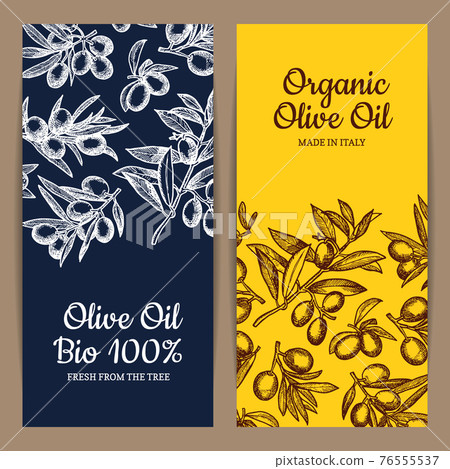 card or flyer template olive branches card or flyer template olive branches 76555537