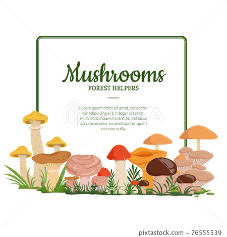 frame with cartoon mushrooms frame with cartoon mushrooms 76555539