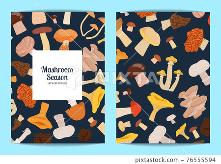 card or flyer set with cartoon mushrooms illustration card or flyer set with cartoon mushrooms illustration 76555594