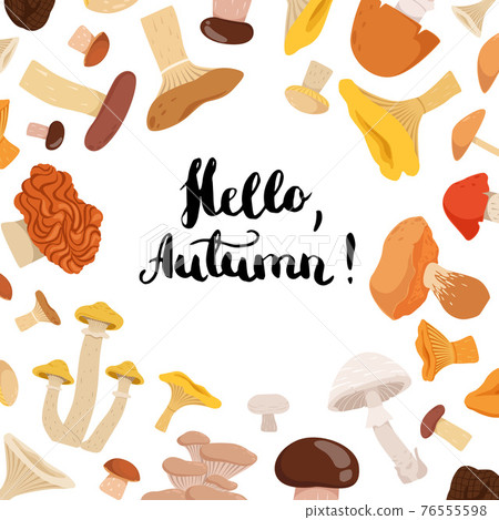 background with place for text with cartoon mushrooms background with place for text with cartoon mushrooms 76555598