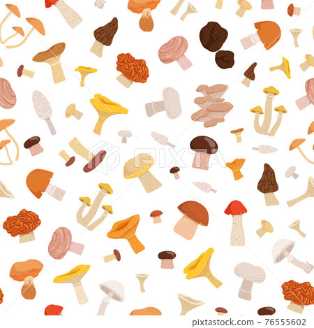 pattern or background illustration with cartoon mushrooms pattern or background illustration with cartoon mushrooms 76555602