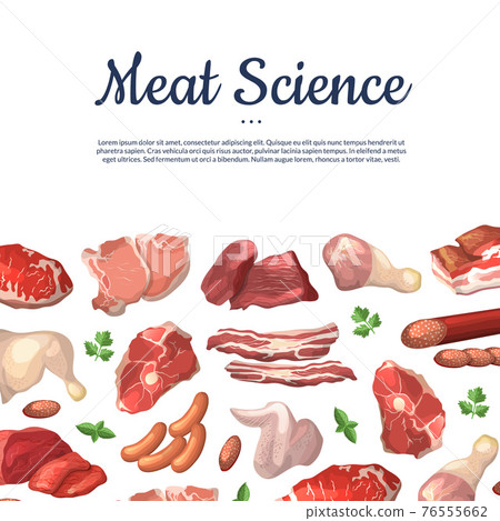 cartoon meat elements background illustration with place for text cartoon meat elements background illustration with place for text 76555662