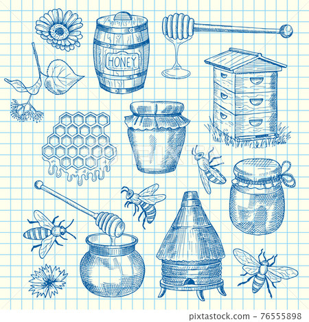 set of hand drawn honey elements on cell sheet illustration 76555898