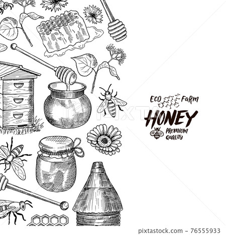 background with sketched honey elements with place for text 76555933