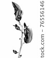 Digitally modified image of early spring blooming magnolia buds isolated on a white background. Solarization black and white effect. 76556146