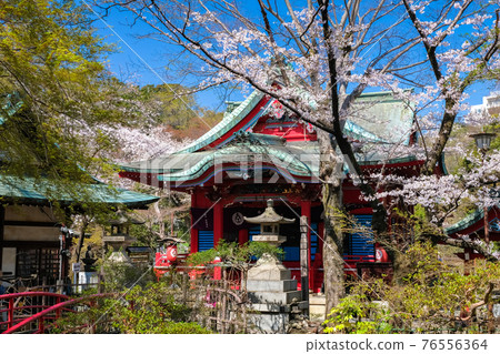春天的井之頭公園，東京井之頭弁財天 76556364