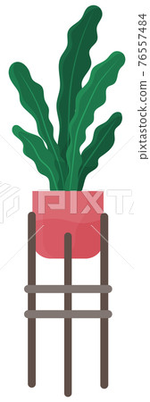 Decorative green plant with long leaves in ceramic pot, pot with houseplant. Home interior plant Decorative green plant with long leaves in ceramic pot, pot with houseplant. Home interior plant 76557484