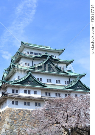 沒有櫻花和金鯊的塔(愛知縣名古屋市名古屋城,2021年) 沒有櫻花和金鯊的塔(愛知縣名古屋市名古屋城,2021年) 76557714