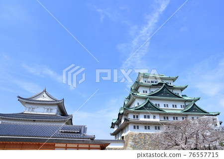 沒有櫻花和金鯊的塔(愛知縣名古屋市名古屋城,2021年) 沒有櫻花和金鯊的塔(愛知縣名古屋市名古屋城,2021年) 76557715
