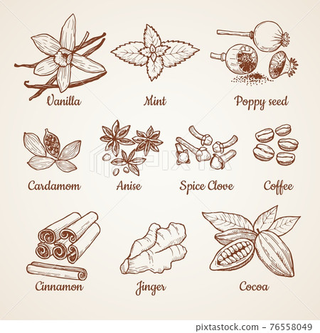 Cinnamon, chocolate, lemon and other kitchen herbs. Hand drawn illustrations Cinnamon, chocolate, lemon and other kitchen herbs. Hand drawn illustrations 76558049