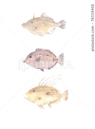 Left-facing black scraper, Nizadai, John Dory 76558408