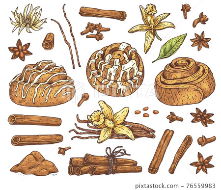 Kitchen cooking herbs and spices set, hand drawn vector illustration isolated. 76559983