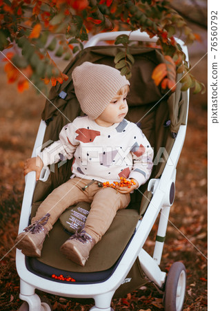 little happy boy with baby carriage in autumn park little happy boy with baby carriage in autumn park 76560792