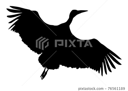 White stork (Ciconia ciconia), flying black silhouette of a bird White stork (Ciconia ciconia), flying black silhouette of a bird 76561189