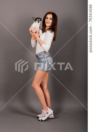 Woman and dog. Man and animal. Brunette holding chihuahua in the studio on a grey background. Woman and dog. Man and animal. Brunette holding chihuahua in the studio on a grey background. 76563096