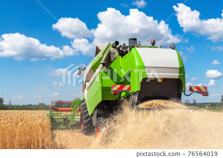 Scenic back view Big powerful industrial combine harvester machine reaping golden ripe wheat cereal field on bright summer or autumn day. Agricultural yellow field machinery landscape background 76564019