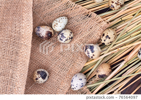 Top view composition of quail eggs. Top view composition of quail eggs. 76564097