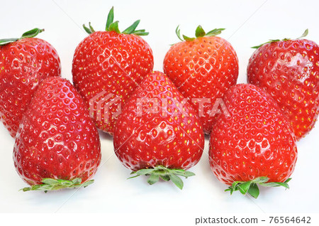 託基艾卡 託基艾卡 76564642