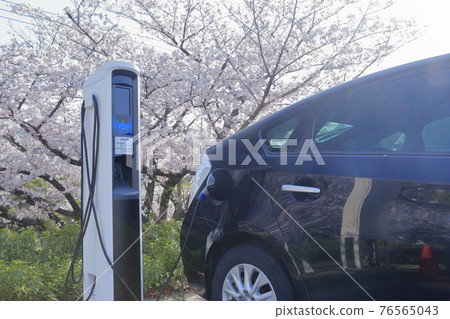Plug-in hybrid charging device and cherry blossoms 76565043