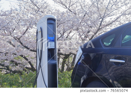 充電插電式混合動力汽車和櫻花 充電插電式混合動力汽車和櫻花 76565074