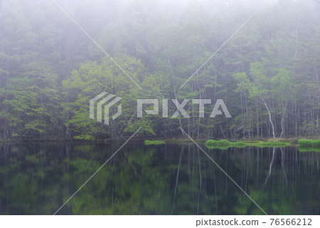 少女的射擊池 少女的射擊池 76566212