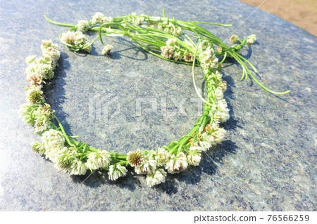 White clover wreath corolla wreath White clover wreath corolla wreath 76566259
