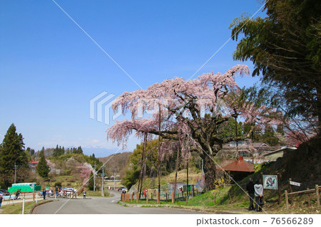 Mt. Adatara, Sakura Jizo, Fukushima Prefecture (Koriyama City, Fukushima Prefecture) 76566289