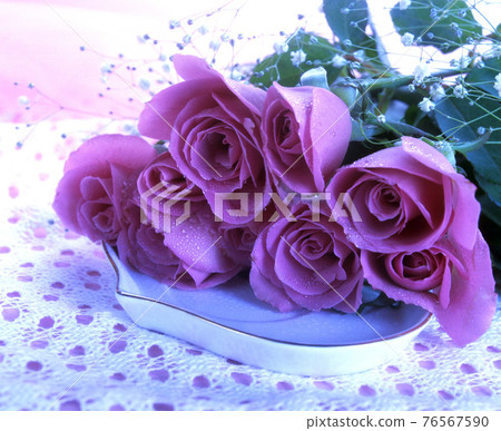紫色的玫瑰花靜物 76567590