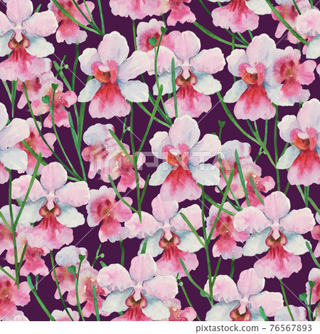 Seamless pattern with orchid Vanda Miss Joaquim, national Singapore flower. Watercolor painting. Seamless pattern with orchid Vanda Miss Joaquim, national Singapore flower. Watercolor painting. 76567893