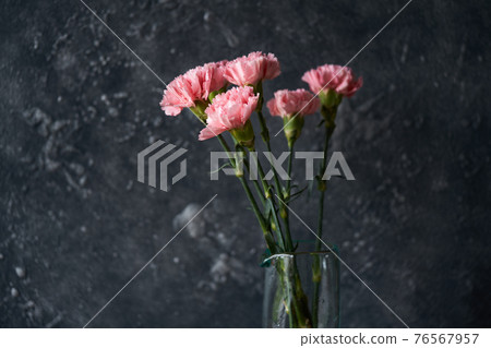 玻璃花瓶中的康乃馨 76567957