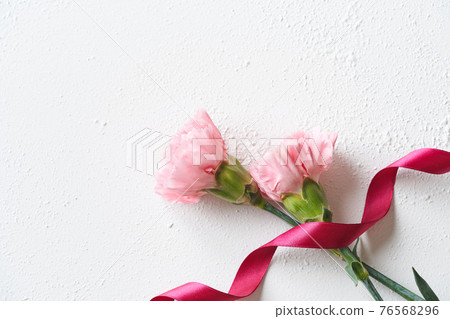 Carnation Mother's Day Image 76568296