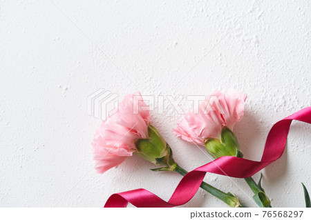 Carnation Mother's Day Image Carnation Mother's Day Image 76568297