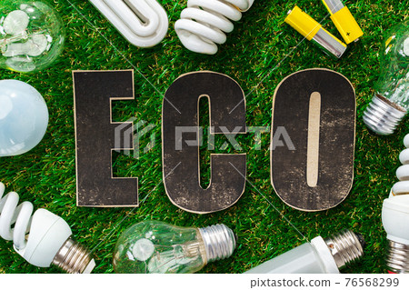 Eco energy saving light bulbs on grass background 76568299