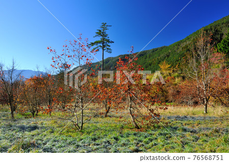 秋天山谷的自然風景顏色 76568751