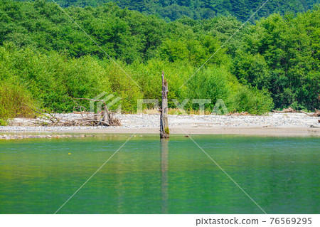 Taisho Pond in Kamikochi in summer [Nagano Prefecture] 76569295