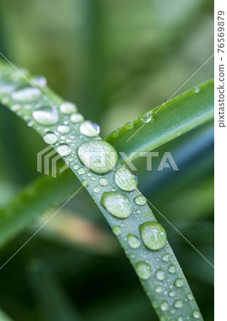 Greenery and Water: Environmental and Ecological Images Greenery and Water: Environmental and Ecological Images 76569879