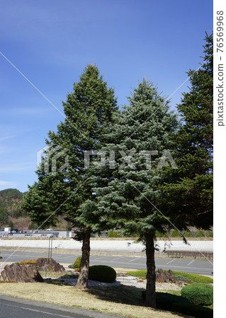 Fureai Land Iwaizumi Spring 76569968