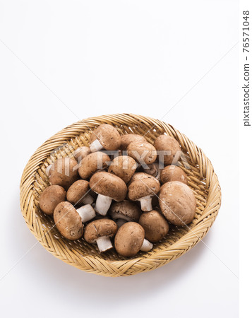 Brown mushroom 76571048