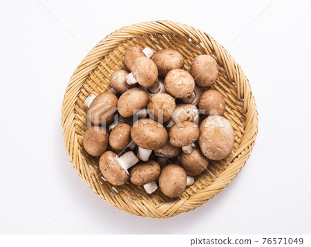 Brown mushroom 76571049