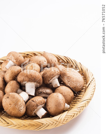 Brown mushroom 76571052