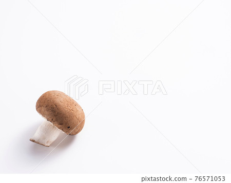 Brown mushroom 76571053