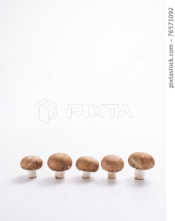 Brown mushroom 76571092