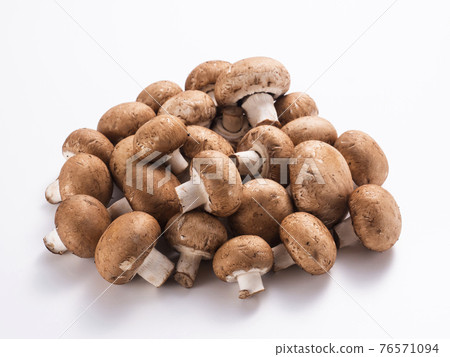 棕色蘑菇 棕色蘑菇 76571094