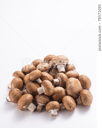 Brown mushroom 76571095