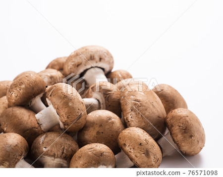 Brown mushroom 76571098