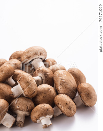 Brown mushroom 76571099