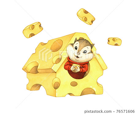 Cheese Squirrel Cheese Squirrel 76571606