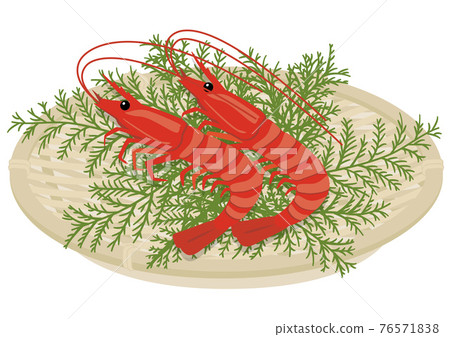 [Vector] Hand-drawn style shrimp illustration. Two fresh red shrimp arranged side-by-side on a bamboo tray, perfect for celebrations or sashimi, against a white background. 76571838