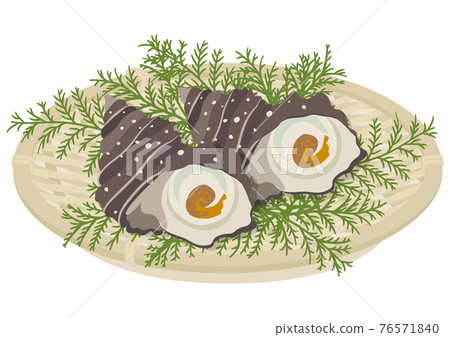 Turban shell in a colander (2) 76571840