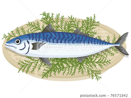 Mackerel in a colander (1) 76571842